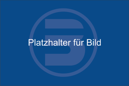 Platzhalter-Fuer-Bild